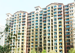 【新鄭】港區(qū)用真石漆哪里去？超前涂料您的首選品牌